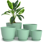 Utopia Home front view of mint five-pot pack showing sizes and saucers for coordinated styling
