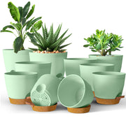 Utopia Home front view of ten olive green planters showing sizes and neat grouping for organized displays