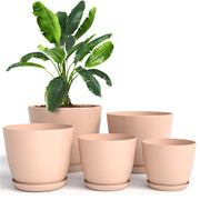 Utopia Home front view of five pink pots showing sizes and cohesive aesthetic benefit