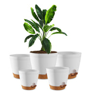 Utopia Home front view of five white self watering pots, neat display benefit
