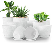 Utopia Home front view of 10-pack spotty grey planters, organized for households
