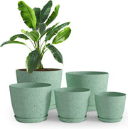 Utopia Home front view of five spotty mint planters showing sizes and style benefit