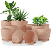 Utopia Home front view of ten spotty peach pink planters showing neat set and color