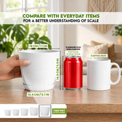 Utopia Home matching saucers under pots protecting surfaces and catching runoff