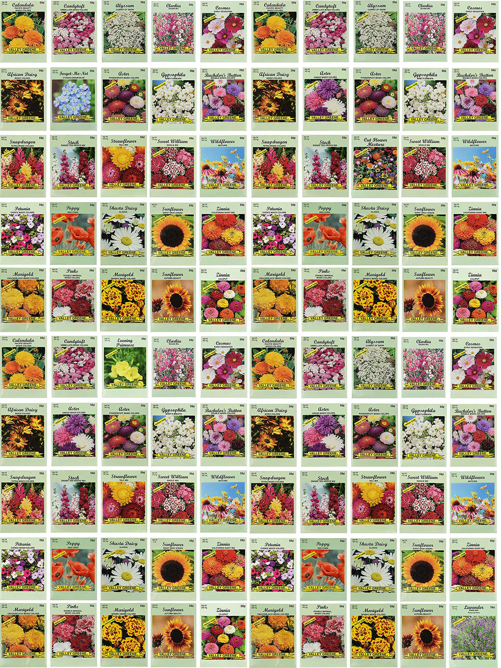 Valley Greene front view of 100 assorted seed packets showing variety and value