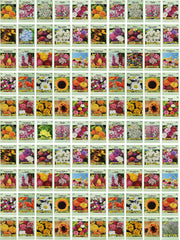 Valley Greene front view of 100 assorted seed packets showing variety and value