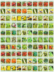 Valley Greene front packaging showing 100 assorted heirloom seed packets and benefits