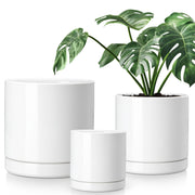 vancasso front view of three white planters showing clean styling and coherence