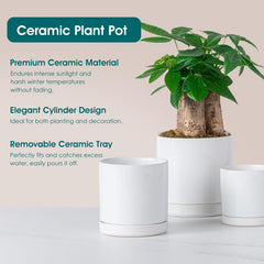 vancasso medium pot styled on shelf adding modern décor appeal
