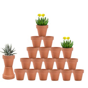 vensovo front packaging showing 20-pack and neat arrangement, ideal for gardeners