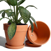 vensovo front view 8-inch pot with saucer showing classic terracotta finish and neat drainage