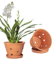 vensovo front view showing pot and saucer, tidy drainage benefit