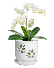 vensovo front view white ceramic orchid pot showing clean profile and elegant look