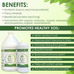 VermisTerra being applied as a root drench to a healthy potted plant