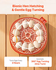 VEVOR egg tray and turning mechanism demonstrating automated turning benefit