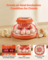 VEVOR incubator top open view revealing egg tray and user-friendly loading