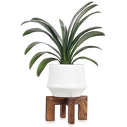 Vigordream front view plant stand showing clean profile and stable base benefit