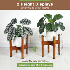 Vigordream used low with succulents showing layered styling and space saving