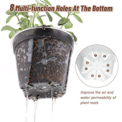 VIOBEPASS clear pot holding an orchid demonstrating transplant-ready root monitoring