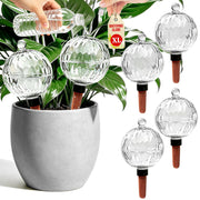 Vividaire front view of six clear globes showing stylish home decor benefit