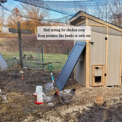 Vocray net installed over chicken run protecting poultry safely