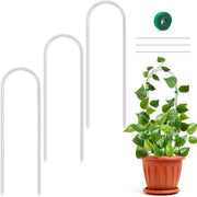 Vokvaktak front view trellis showing clear minimalist support and tidy plant display