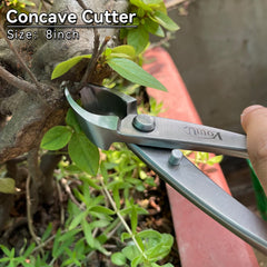 VOUIU concave cutter in use on bonsai demonstrating clean concave cuts for better healing