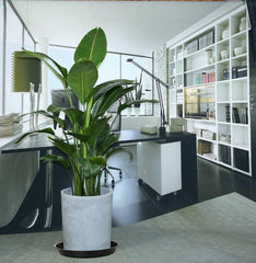 VUWEZ saucer under ceramic planter demonstrating floor protection