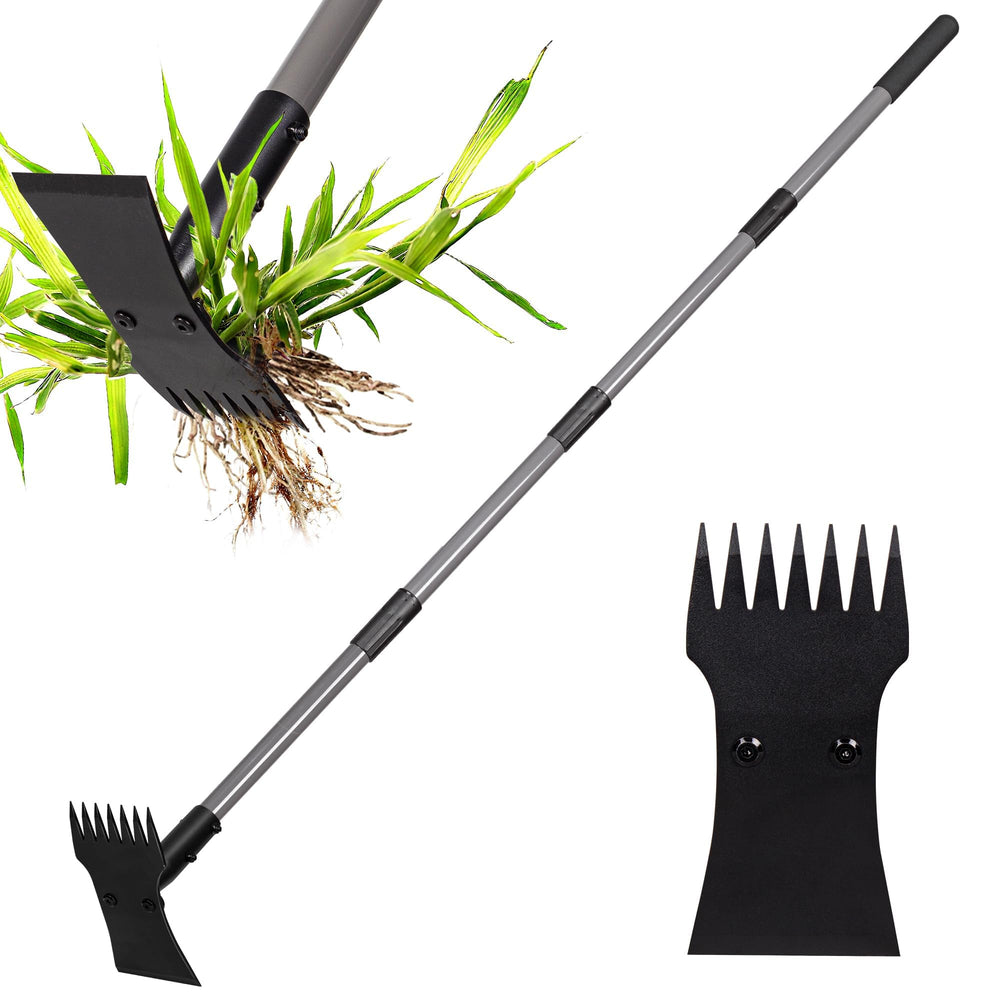 Walensee front view of assembled tool showing full length and dual head benefit