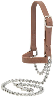 Weaver Livestock Brahma Webb front view halter showing fit and clean appearance for shows