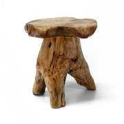WELLAND front view of cedar stump stool showing natural silhouette and usable surface