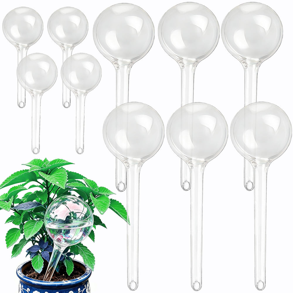 Wellinc 10-piece globes arranged on table showing full set and variety, easy plant care