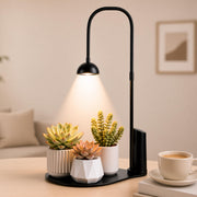 wemidels front view on desk showing compact cordless lamp and tidy setup