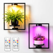 wemidels front view showing framed plant holders and decorative display benefit