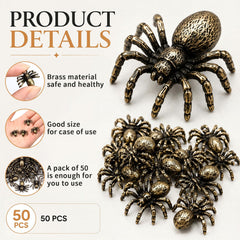 Weysat spider figurine on bookshelf adding antique accent and decorative interest