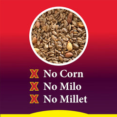 Wild Delight bag beside hand to show 5 lb size and easy handling