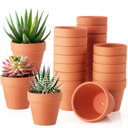 WinJiaYao front view of 24-pack mini terracotta pots showing compact set and natural look