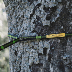 Wise Owl Outfitters strap wrapped around tree showing bark-friendly design
