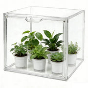 Wollibao mini greenhouse front view showing compact design and clear cover for visibility