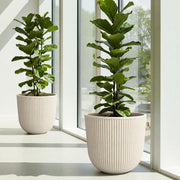 Worth beige planter front view showing matching pair and clean finish for symmetry