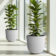 Worth Garden front view of both white planters showing clean style and easy placement
