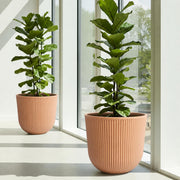 Worth planter front view showing terracotta finish and modern stripes, enhances curb appeal