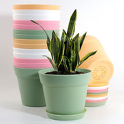WOUSIWER front view showing 16 colorful 6-inch pots and trays, neat display benefit