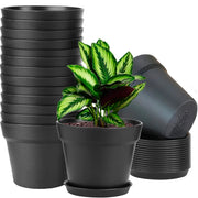 WOUSIWER front view of 16 black 6-inch pots, tidy display benefit