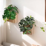 WOYOO front view showing wooden vases and hanging faux plants, enhances wall style