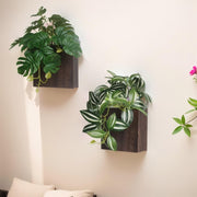 WOYOO front view of wood wall planter adds rustic charm