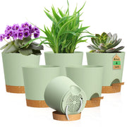 WSMKSZ front view of six-pack pots showing colors and shape for neat displays