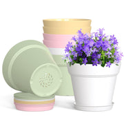 WSMKSZ front view of eight 4-inch pots showing compact bulk convenience