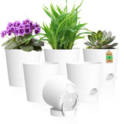 WSMKSZ front view of six-pack planters showing modern white finish and neat packaging benefit