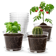 WSMKSZ front view of the 8-pack clear nursery pots showing contents and labels, ideal for organization